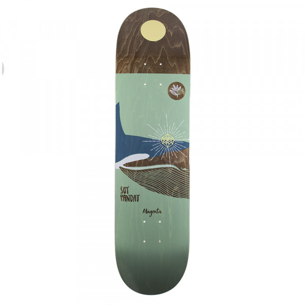 cruiser skate vans